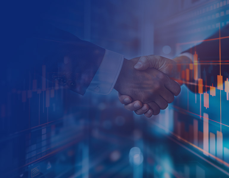 Shareholding Pattern